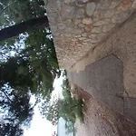 Smokvica