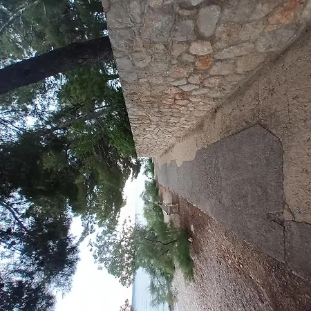 Smokvica