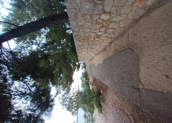 Smokvica